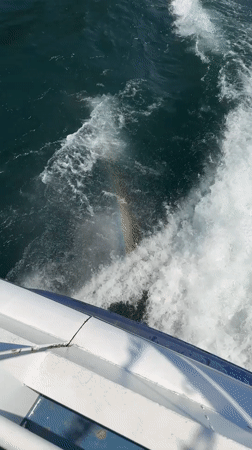 Boat creates rainbow in spray near Nesso, Italy