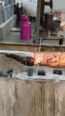 Street scenes captured in Nha Trang featuring roasted crocodile, architecture