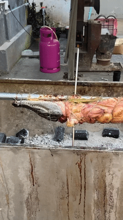 Street scenes captured in Nha Trang featuring roasted crocodile, architecture