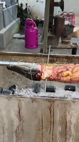 Street scenes captured in Nha Trang featuring roasted crocodile, architecture