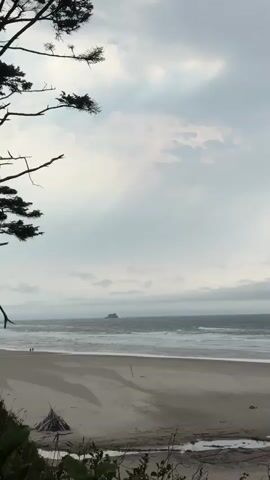 The video shows a wide shot of a beach on an overcast day. The camera is positioned slightly above the beach, looking out towards the ocean. In the foreground, there is some foliage and a small thatched umbrella on the sand. The beach itself is wide and sandy, with some debris or foam at the edge near the foliage. The ocean is visible in the middle ground, with waves breaking on the shore. There is a small rock formation visible in the distance, out in the ocean. The sky is filled with heavy, gray clouds, with some patches of lighter sky suggesting breaks in the clouds. A tree branch extends into the frame from the top left corner. There are two small figures walking on the beach in the distance.