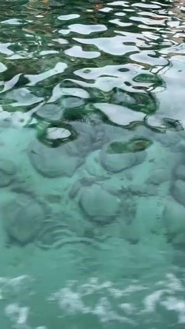 The video is a close-up shot of clear, turquoise water. The bottom of the body of water is visible, with rocks and sand. The surface of the water is rippling, creating distorted reflections of what appears to be a wooden pier in the background. No people or animals are visible in the water, though there might be a hint of movement in the water suggesting a very small fish. The overall impression is one of a tranquil, natural environment.