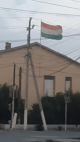 The video pans from a flag on a pole to a street with trees and buildings. The flag has three horizontal stripes: red, white, and green. A building with a light-colored facade and white-framed windows is visible behind the flag. Power lines are strung across the scene, and a traffic light is on a pole to the left. The street is paved, with white lines marking lanes and a crosswalk. Trees line the sidewalk. As the camera pans, a few cars are seen driving on the street. The sky is overcast.