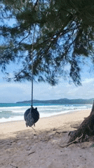 Early morning beach life documented in Choeng Thale, Thailand
