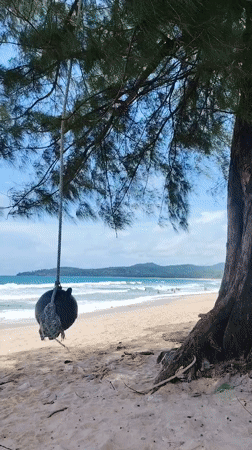 Early morning beach life documented in Choeng Thale, Thailand