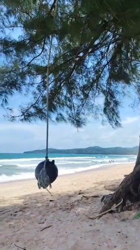 Early morning beach life documented in Choeng Thale, Thailand
