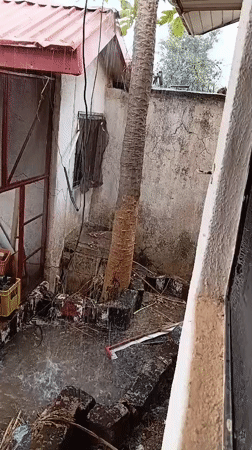 Heavy rain drenches small courtyard with palm tree