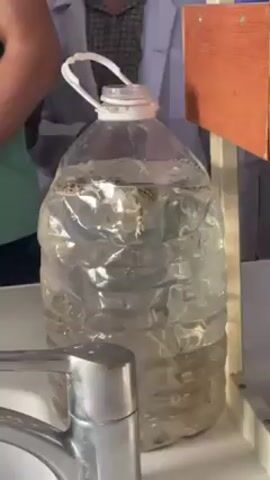 A large, transparent plastic water bottle filled with water and what appears to be organic matter is positioned on a white surface next to a metal faucet. A hand reaches in to open the bottle, revealing what seem to be small dead animals floating inside. The background is somewhat blurry and shows people, possibly in a lab setting, wearing white lab coats.