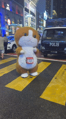Cat mascot joins street festival crowds in Kuala Lumpur