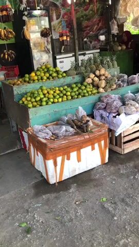 The video shows a street market stall selling fruits and vegetables. In the foreground, there is a white cooler with orange stripes, filled with roots wrapped in plastic bags. Behind the cooler, a large wooden display is filled with oranges. To the right of the oranges, there are pineapples and other root vegetables. In the background, there are bananas hanging, and shelves stocked with various food items and jars. A woman in a red headscarf can be seen in the upper right corner. The ground appears to be wet and there are scattered leaves.