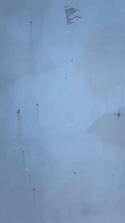 Woman exercises, walks dog near Bulgarian monument and tower