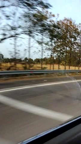 The video shows a vertical, blurred view from a vehicle moving alongside a paved road. On the left, trees with sparse foliage are visible, their branches creating a diagonal line across the frame. The road itself, marked with a white line, occupies the right side of the image and appears wet or reflective. Utility poles are intermittently spaced along the side of the road, separated from the road by a grassy or dirt verge. The sky is overcast. The perspective suggests the footage was captured from a side window, with a portion of the vehicle's frame visible on the far right.