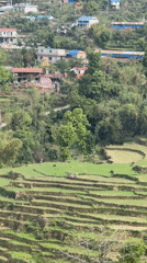 Early morning rural life documented in Pokhara, Nepal