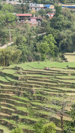 Early morning rural life documented in Pokhara, Nepal