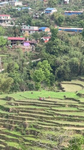 Early morning rural life documented in Pokhara, Nepal
