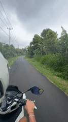 Morning motorcycle ride through lush vegetation on paved road
