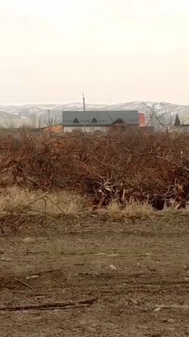 The video shows a wide shot of a barren, rural landscape on an overcast day. In the foreground, the ground is dirt and sparse, dry grass with small branches scattered about. A large pile of bare, tangled tree branches sits in the middle ground. In the background, there are a few buildings with gray roofs, and beyond those, distant rolling hills partially covered in snow. The camera slowly pans to the left, revealing more of the barren landscape with scattered dry vegetation and a line of small evergreen trees in the distance. The overall impression is one of desolation and dormancy.