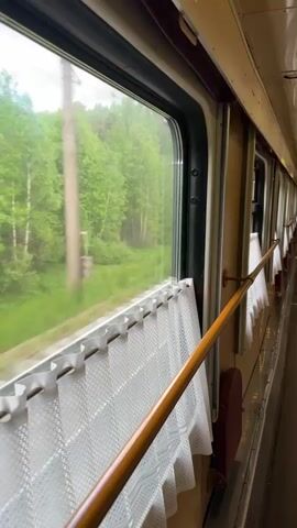 The camera is inside a moving train, offering a view out of the window. The outside is visible through the window as trees and foliage rush past. A wooden handrail runs along the length of the carriage below the window, and white lace curtains hang between the rail and the window. The train's interior is visibly clean and well-maintained, with an old-fashioned design.  The focus is on the motion and the view from the train.