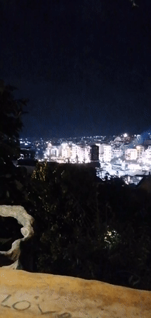 Da Lat at night: city views, sculpture garden, themed venue