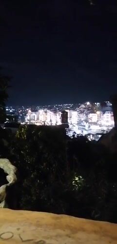 Da Lat at night: city views, sculpture garden, themed venue