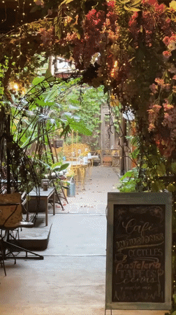 Autumn street life documented across Buenos Aires neighborhoods