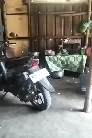 The video shows the interior of a simple, rustic structure. In the foreground, the rear of a black motorcycle with a white license plate is visible on the left. The license plate reads "W 2954 JZ". A large bamboo pole stands vertically in the center of the frame. To the right of the pole, a wooden table with ornate carvings is positioned, covered by an orange-brown plastic cloth. On this table, there are several containers and pitchers, including a large blue water jug, a white bucket with a lid, a pink container, and two translucent pitchers, one pink and one white. Behind the table, the wall is constructed of corrugated metal. Further to the left, behind the motorcycle, a green and white checkered tablecloth is draped over a counter or table. On this surface, there are various kitchen items, including pots, bowls, and what appears to be a small shelf unit with glasses. In the background, the walls are made of weathered wooden planks. The floor is concrete. The lighting suggests it is daytime, with some natural light entering from above and from an unseen source to the right. The overall impression is of a humble, possibly outdoor food stall or kitchen area.