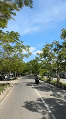 Morning commute captured on tree-lined road in Indonesia
