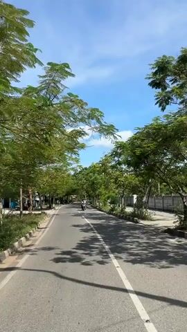 A road is shown in the video with trees lining each side, creating a canopy of shade. A scooter with two people is traveling down the road away from the camera. A car is also visible in the distance. The sky is blue with scattered clouds. The road is paved with a white line in the center. The trees cast shadows on the road. There are some buildings and structures visible on the side of the road.