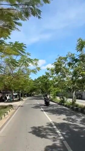 Morning commute captured on tree-lined road in Indonesia