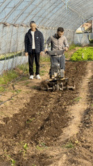 Two men tend greenhouse soil in Plovdiv Bulgaria