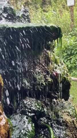 The video displays a close-up view of water cascading down a moss-covered rock formation. The water creates a curtain-like effect as it flows over the textured surface, with smaller droplets scattering and reflecting light. Green moss and some darker, soil-like material are visible on the rocks. In the background, out of focus, are green foliage and some hints of a path or fence on the right side. The lighting suggests it is daytime, possibly overcast, as there are no harsh shadows. The overall impression is one of a natural, damp environment, likely a small waterfall or spring.