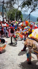 Street celebration and wildlife scenes captured in Tinaquillo