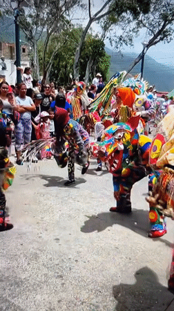 Street celebration and wildlife scenes captured in Tinaquillo