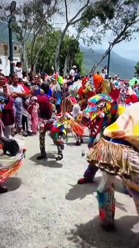 Street celebration and wildlife scenes captured in Tinaquillo