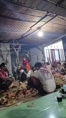 The video shows a group of people, including men and women, gathered in what appears to be an open-air or semi-enclosed space at night in Kedung Dowo, Indonesia. A single light bulb illuminates the scene, revealing a rustic setting with a roof made of woven material. The ground is covered with numerous coconut husks, indicating an activity related to processing coconuts.

People are seated on the ground, some with fresh coconuts, others conversing and sharing drinks from glasses and cups. In the foreground, a man in a white t-shirt with a circular graphic on the back is visible, along with drinks on a green-topped table. In the background, a more modern house structure with white walls and a brown door can be seen. The atmosphere seems communal and relaxed, suggesting a social gathering or a collaborative effort, possibly a traditional communal work event or "gotong royong." There are also some tools and a bucket visible in the background.