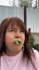 Spring afternoon moments: gardens, garbage day, family time