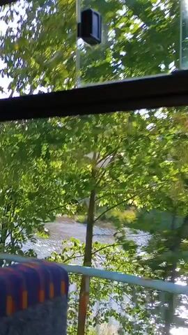 The video captures a view through a window or glass partition overlooking a natural scene. Sunlight glints off a body of water, likely a river or stream, which appears to have some ripples or small rapids. Lush green trees with dense foliage fill the middle ground and frame the view, with sunlight filtering through the leaves creating a dappled effect. In the background, a few buildings are visible, nestled among trees on a slight incline. The video appears to be in motion, suggesting it was filmed from a moving vehicle or a person walking past.