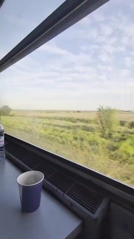 The view from inside a train car as it travels past a flat, grassy landscape. A half-full plastic water bottle sits next to a blue paper cup on the train car's windowsill. The window frames the view of fields and vegetation with a partly cloudy sky above. The train is moving and the scenery appears to be blurring.