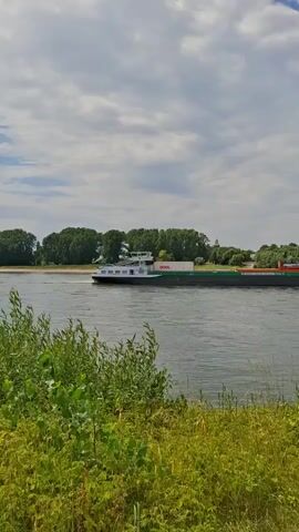 A wide river, likely the Rhine, flows under a bright, partly cloudy sky. The water is a calm, gray-blue, reflecting the sky above. In the middle ground, a long, flat barge is being towed. The barge is loaded with several shipping containers, some of which are bright orange, while others are green. The barge itself is dark green. A white superstructure sits towards the front of the barge. The text "GOEL" is visible in red on one of the containers.

The riverbanks are lush and green, with dense foliage lining the water's edge. In the foreground, the green vegetation is thick and vibrant, suggesting a summer day. On the far bank, trees form a dense line, with some buildings visible peeking through the trees in the distance, and a modern, multi-story building in the far right of the frame. The overall impression is a serene, working river scene on a pleasant day, possibly late morning or early afternoon, given the bright light. There are no people clearly visible, emphasizing the focus on the barge and the natural landscape. The setting appears to be a busy waterway, as indicated by the commercial vessel.