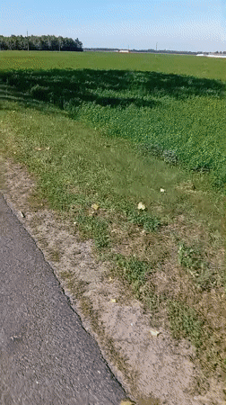 Крыўлянскі сельскі Савет, Belarus