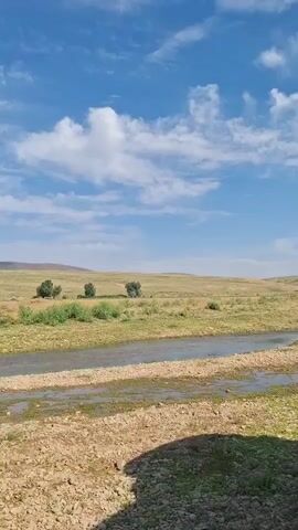 The video shows a wide shot of a dry, grassy landscape under a bright blue sky with scattered white clouds. A narrow, shallow stream flows across the middle ground. In the distance, there are rolling hills dotted with small trees and shrubs. A single white horse is visible in the mid-ground, grazing near the stream. The foreground is a dry, stony ground with some sparse vegetation. A shadow, likely from the camera operator or equipment, is cast on the lower right of the frame. There are no other visible people or moving objects.