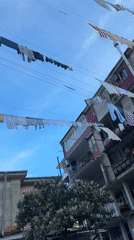Urban street life captured across residential neighborhood