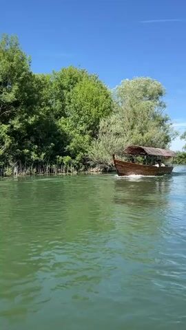 A wooden boat with a thatched roof travels down a green river under a clear blue sky. Several people are visible on the boat. Lush green trees line the banks of the river. The boat leaves a wake behind it.