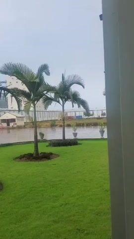 The video shows a rainy day outdoors with palm trees and a well-maintained lawn. In the background, there is a large industrial building or silo, and a road with some vehicles. The camera pans slightly, offering a view of the landscape through what appears to be a covered walkway or structure. There are no people visible in the frame, and the focus is on the environment and the weather.