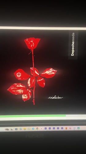 Evening in Bar: Depeche Mode listening session and casual moments