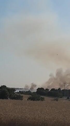 This is a vertical video taken from a field of dry, golden grass or wheat. In the background, there is a line of dark green trees. Beyond the trees, large plumes of thick, brown smoke are rising into a hazy, pale blue sky. The smoke appears to be coming from a fire that is happening in the distance. There are a few faint, dark specks in the sky that could be birds. To the right of the frame, a tall, metal electricity pylon stands amidst the trees and smoke. The overall impression is one of a rural landscape with a significant wildfire occurring. The camera is static, and the focus is on the smoke plumes.