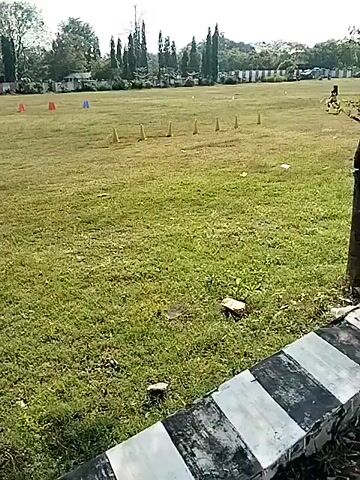 The video shows a grassy field on a bright, sunny day. In the center of the field, a person is seen practicing agility drills, weaving in and out of a line of yellow cones. A few orange and blue cones are scattered in the background. Trees line the perimeter of the field, with a building visible in the distance. A person is heard calling out in the background. The camera is relatively stationary, with minimal movement, offering a wide view of the field and activity.