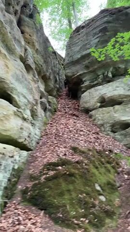 The video pans across a natural environment featuring large rock formations. In the first few seconds, the camera focuses on the rough textures of the rocks, some of which have moss and small holes. The scene then shifts to a path with fallen leaves and more rock formations, leading to a man walking on a paved road. The man, wearing a grey t-shirt and shorts, stops and turns towards the camera. He is holding a smartphone. The road is bordered by dense green trees and more rock outcroppings with numerous holes. The overall impression is a nature trail or park setting.