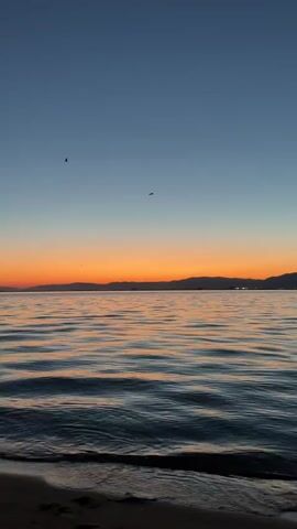 A vertical video shows a serene beach at sunset. The sky transitions from a deep blue at the top to a vibrant orange band near the horizon, indicating the sun has recently set. The calm ocean reflects the sky's colors with gentle waves lapping at the sandy shore. Silhouettes of mountains are visible in the distance. A few birds are flying in the sky. The foreground shows the dark sand of the beach with footprints.