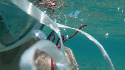 Beach day activities captured in Safaga, Egypt waters